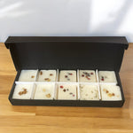 WAX MELT PIP BOX WITH INSERT for 10 Melts - BLACK (Pack of 10)