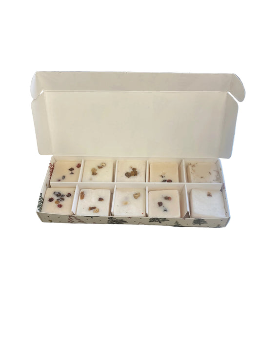 WAX MELT PIP BOX WITH INSERT for 10 Melts - FESTIVE TREE DESIGN 2 (Pack of 10)